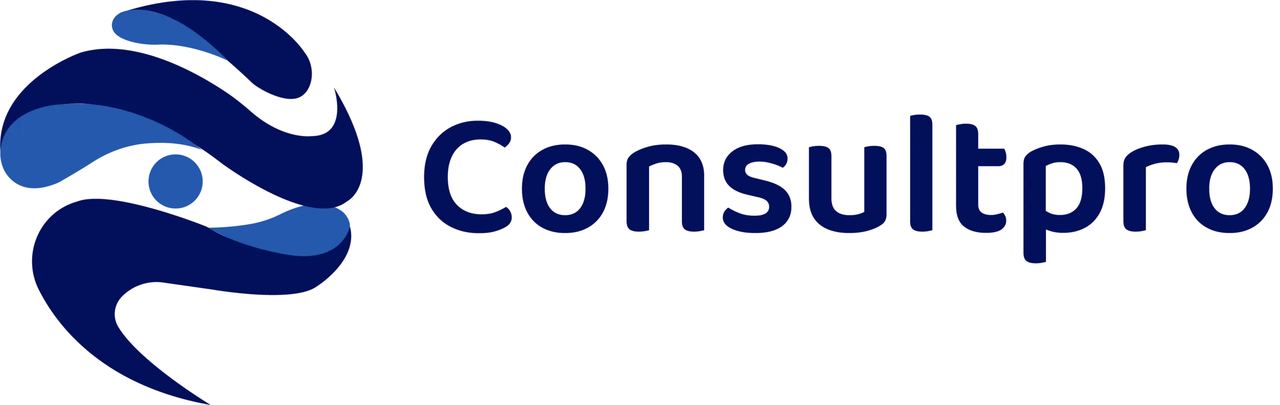 logo consulpro